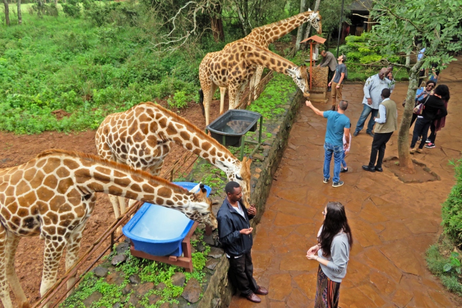 Nairobi Excursion