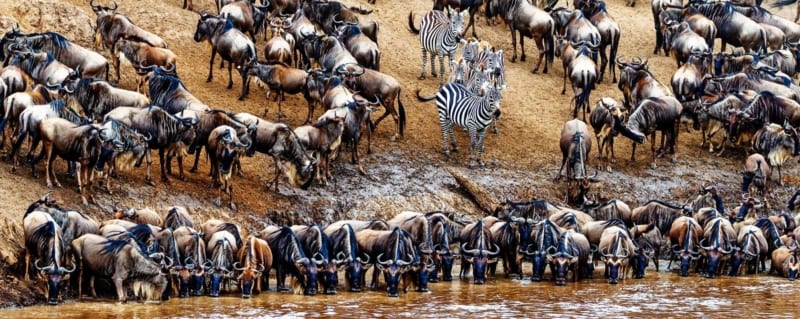 Nairobi -Maasai mara-Nairobi